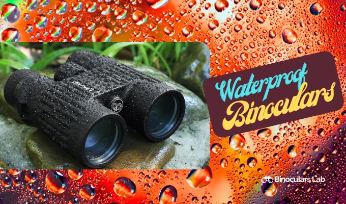 15 Budget-Friendly Waterproof Binoculars You’d Love To Have