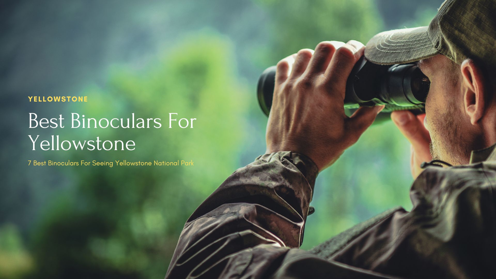 7 Best Binoculars For Yellowstone National Park Seeing