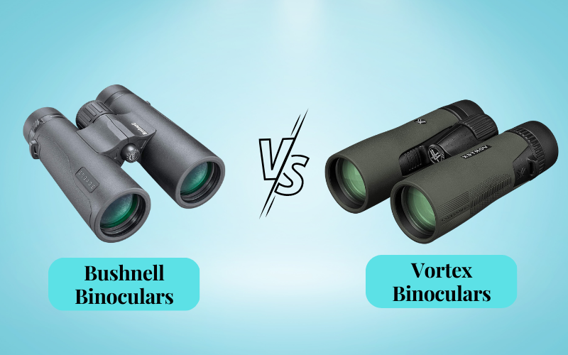 Bushnell Vs Vortex Binoculars Battle Of 2 Binocular Giants!