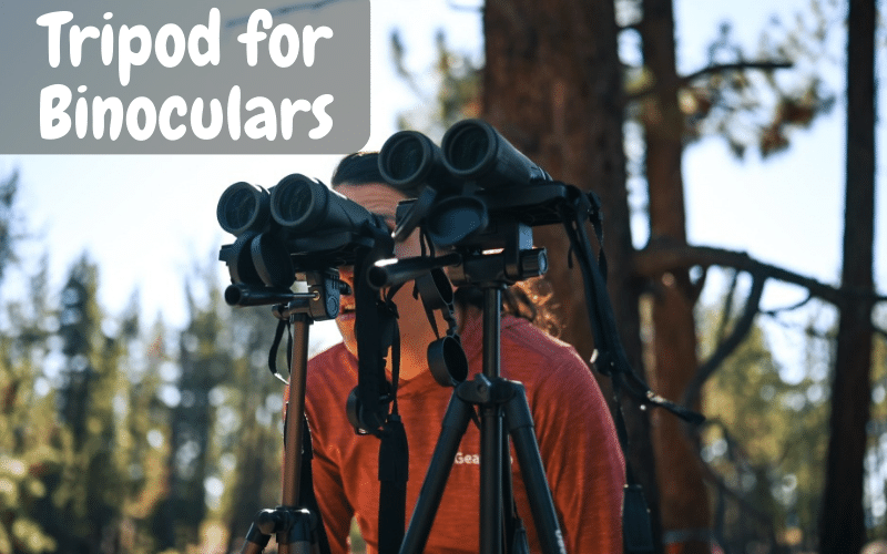 Exploring The Top Tripod For Binoculars Binoculars Lab