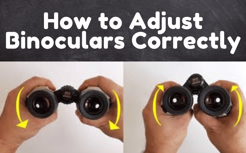 5 Perfect Guide On How To Adjust Binoculars Correctly