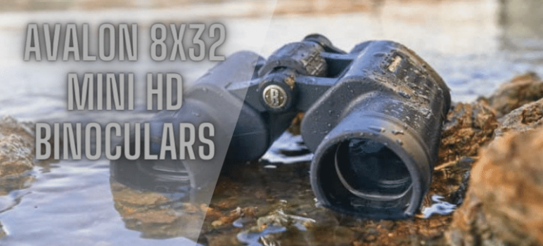 Unveiling the Brilliance of Avalon 8×32 Mini HD Binoculars Platinum