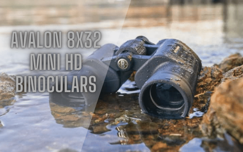 the-great-brilliance-of-avalon-8x32-mini-hd-binoculars